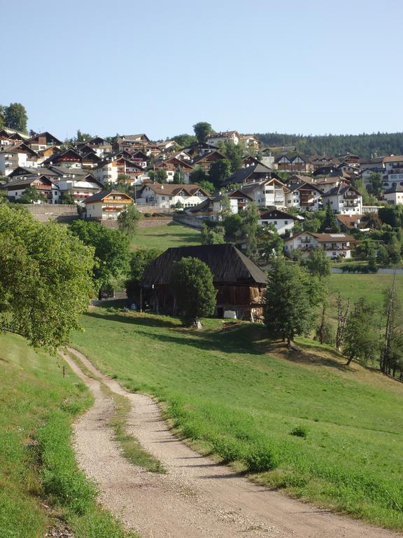 Gasthof Zum Roessl San Genesio Atesino Cameră foto
